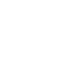 dualIcon